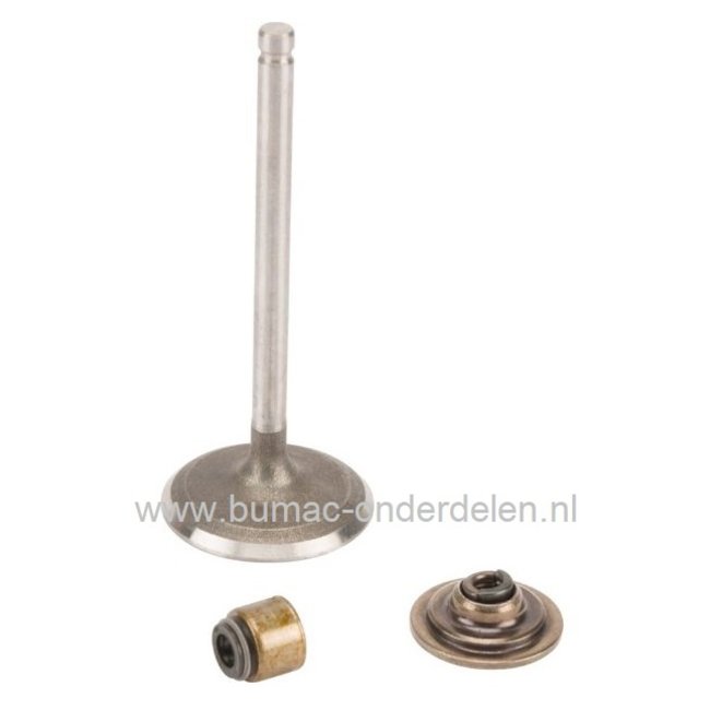 Inlaatklep met geleider en houder voor Briggs & Stratton 13 Pk IC Motoren op Zitmaaiers, Frontmaaiers, Tuintrekkers, B&S, Briggs and Stratton, onderdeel, inlaat klep, 210700, 210800, 212700, 212800, 212900, 214700, 214900, 215700, 215800, 215900, 216700,