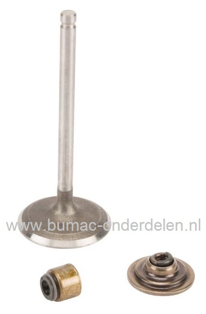 Inlaatklep met geleider en houder voor Briggs & Stratton 13 Pk IC Motoren op Zitmaaiers, Frontmaaiers, Tuintrekkers, B&S, Briggs and Stratton, onderdeel, inlaat klep, 210700, 210800, 212700, 212800, 212900, 214700, 214900, 215700, 215800, 215900, 216700,