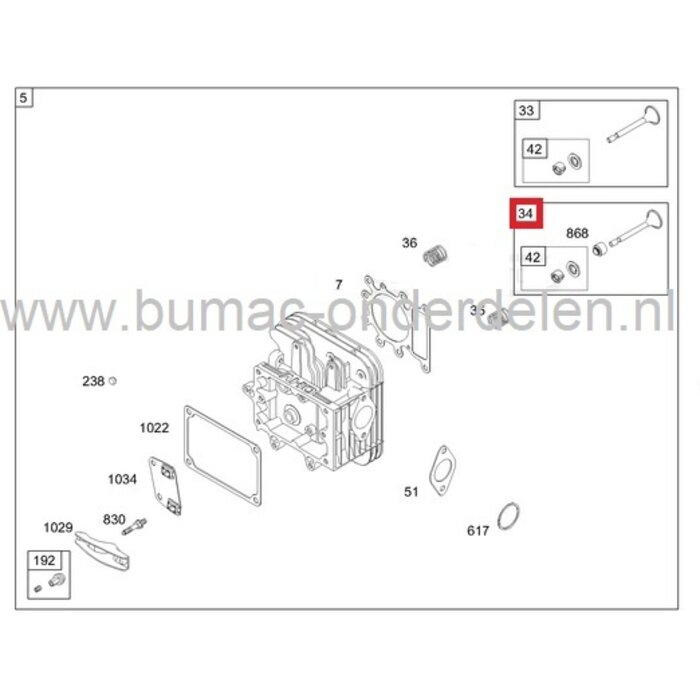 Inlaatklep met geleider en houder voor Briggs & Stratton 13 Pk IC Motoren op Zitmaaiers, Frontmaaiers, Tuintrekkers, B&S, Briggs and Stratton, onderdeel, inlaat klep, 210700, 210800, 212700, 212800, 212900, 214700, 214900, 215700, 215800, 215900, 216700,