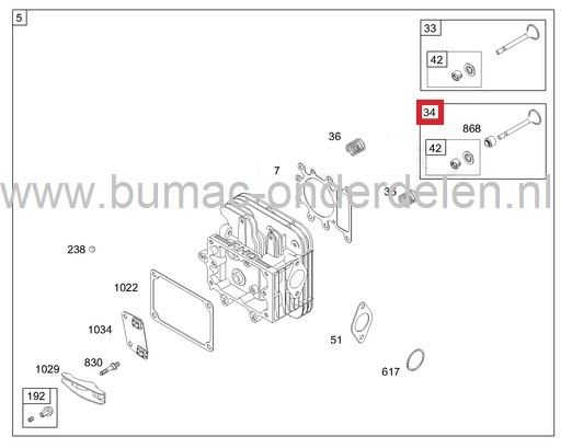 Inlaatklep met geleider en houder voor Briggs & Stratton 13 Pk IC Motoren op Zitmaaiers, Frontmaaiers, Tuintrekkers, B&S, Briggs and Stratton, onderdeel, inlaat klep, 210700, 210800, 212700, 212800, 212900, 214700, 214900, 215700, 215800, 215900, 216700,