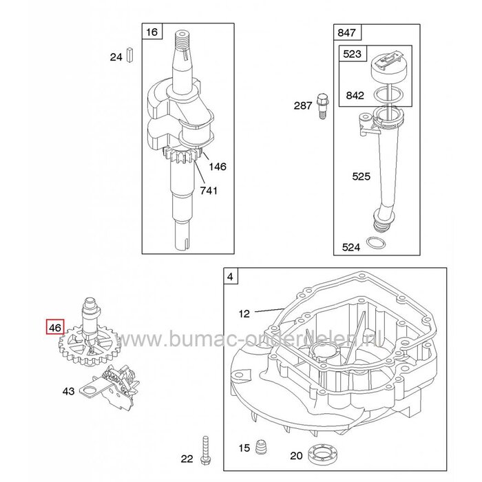 B&S Nokkenas voor Quantum - Europe en Max Motor op Loopmaaier - Benzinemaaier- Grasmaaier