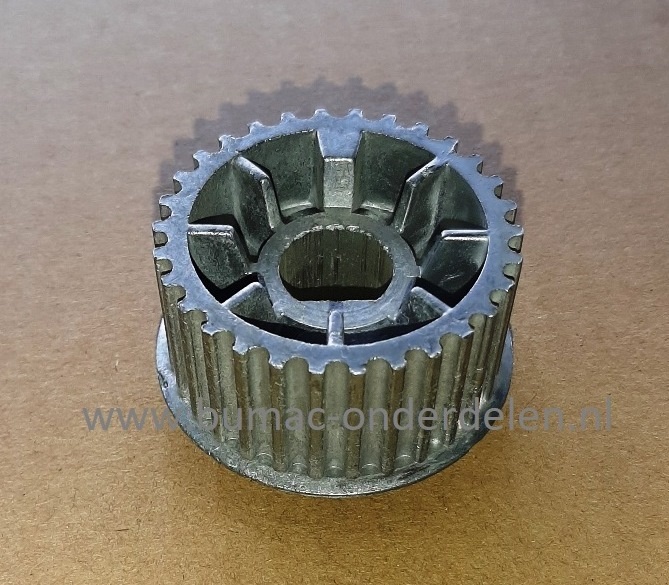 Getande 30 tands Poelie voor Aandrijving van de Messen bij Alko, Brill, Gloria Verticuteermachine