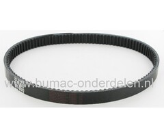 Getande Riem 98 Tands Tussen Aandrijfbak van Castelgarden - Stiga - Alpina - Mountfield Zitmaaier, Skeltermaaier Tandriem voor 725V, BT63E, BT63VB, GB6/63, PE60VD, R25V, Sentar F1B, SR63, SR6365, TC65/63, XE70VD, XE75VD, XE80VD