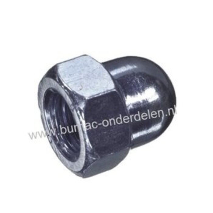 Zeskant Dopmoer, hoog model Schroefdraad M5 x 0,8, Draad diameter M5, Sleutelmaat 8 mm, Hoogte 4 mm