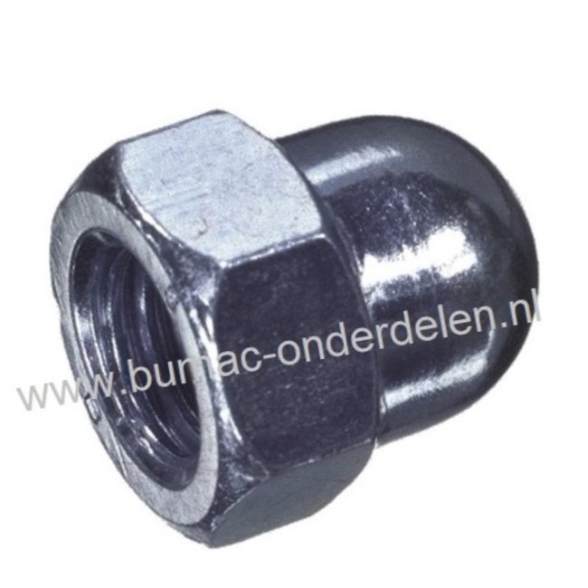 Zeskant  Dopmoer hoog model Schroefdraad M12 x 1,75 , Draad diameter M12, Sleutelmaat 19 mm, Hoogte 22 mm, Klasse 8.8, M12x1,75