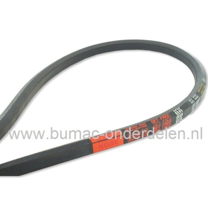 Zeskantsnaar BB99 voor Aandrijving van het Maaidek, de Maaimessen bij onder andere Kubota G18, G21, GR2100, RCK48G18, RCK48G18PRO, RCK48GREC Minitrekkers, Zitmaaiers met 48 Inch, 122 Cm Maaibreedte, Aandrijfriem Maaidek Rechts, 6-Kantsnaar KUBOTA, Rechter