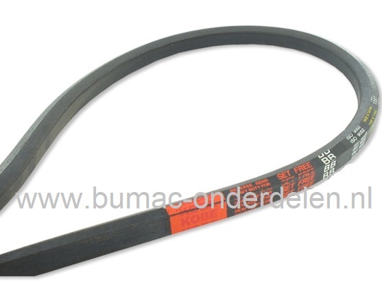 Zeskantsnaar BB99 voor Aandrijving van het Maaidek, de Maaimessen bij onder andere Kubota G18, G21, GR2100, RCK48G18, RCK48G18PRO, RCK48GREC Minitrekkers, Zitmaaiers met 48 Inch, 122 Cm Maaibreedte, Aandrijfriem Maaidek Rechts, 6-Kantsnaar KUBOTA, Rechter