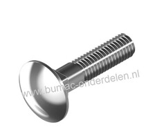 RVS Slotbout M5x50, met platte afgeronde kop en vierkantnok. Bout RVS M5 x50, Klasse A2, Din 603