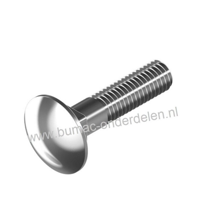 RVS Slotbout M5x50, met platte afgeronde kop en vierkantnok. Bout RVS M5 x50, Klasse A2, Din 603