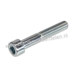 Inbusbout M5 x 110 met binnenzeskant, verzinkt, Inbusbout M5x110, Inbussleutelmaat 4, DIN 912, Klasse 8.8 Cilinderbout, Imbusbout