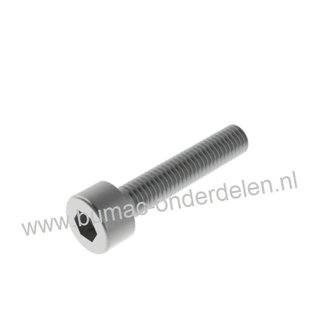 Inbusbout M6x20 met binnenzeskant, verzinkt, Inbusbout M6x20, Inbussleutelmaat 5, DIN 912, Klasse 8.8 Cilinderbout, Imbusbout