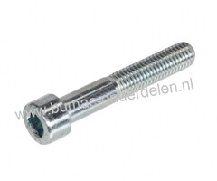 Inbusbout M14x45 met binnenzeskant, verzinkt, Inbusbout M14x45 Inbussleutelmaat 12, DIN 912, Klasse 8.8 Cilinderbout, Imbusbout
