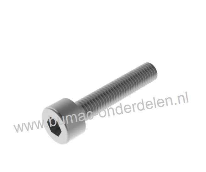 Inbusbout M16x80 met binnenzeskant, verzinkt, Inbusbout M16x80 Inbussleutelmaat 14, DIN 912, Klasse 8.8 Cilinderbout, Imbusbout