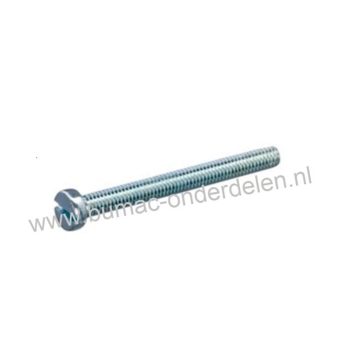 Cilinderschroef M4 x 50 met zaaggleuf metrisch verzinkt, DIN 84, Klasse 4.8, Cilinderkopschroef M4x0.7x50