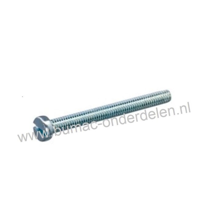 Cilinderschroef M4 x 55 met zaaggleuf metrisch verzinkt, DIN 84, Klasse 4.8, Cilinderkopschroef M4x0.7x55