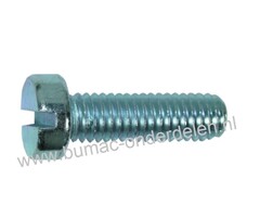 Cilinderschroef M5 x 16 met zaaggleuf metrisch verzinkt, DIN 84, Klasse 4.8, Cilinderkopschroef M5x0.8x16