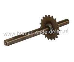 As met Tandwiel 19 Tands voor MTD, White, Gutbrod YardMan, Eurotrac, Fleurelle zitmaaier, Tuintrekker 125-102, 130-102, 155-102, E160, E165, Sprint 2000, Sprint 3000, RH125, RH1870, RMH130-102, TN7145, AMH1251, ET155, ET160, ET180, Aandrijving Achterwiele