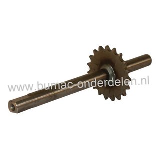 As met Tandwiel 19 Tands voor MTD, White, Gutbrod YardMan, Eurotrac, Fleurelle zitmaaier, Tuintrekker 125-102, 130-102, 155-102, E160, E165, Sprint 2000, Sprint 3000, RH125, RH1870, RMH130-102, TN7145, AMH1251, ET155, ET160, ET180, Aandrijving Achterwiele