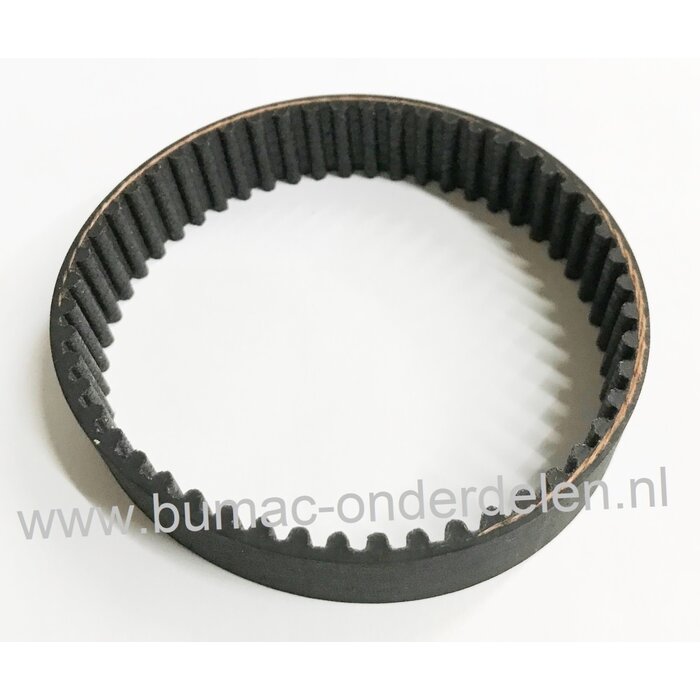 Tandriem 51 Tands voor grasmaaier, Verticuteermachine, Schaafmachine, Kooimaaier Getande Riem Breedte 25 mm, Lengte 255 mm, Steek 5 mm