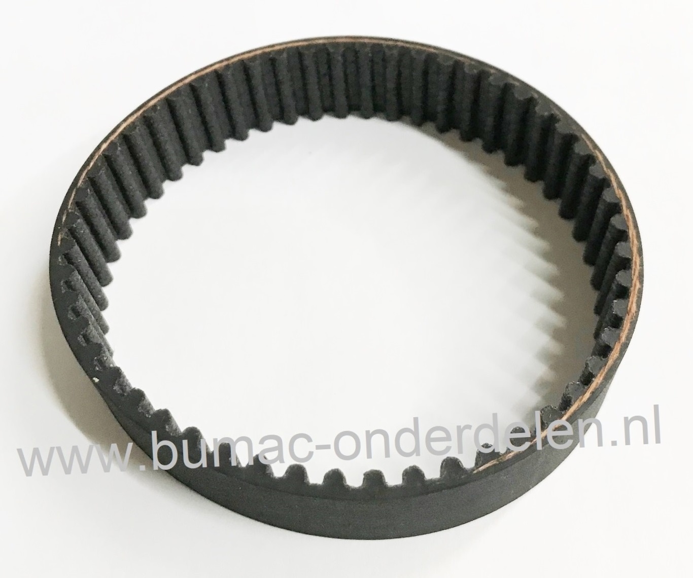 Tandriem 51 Tands voor grasmaaier, Verticuteermachine, Schaafmachine, Kooimaaier Getande Riem Breedte 25 mm, Lengte 255 mm, Steek 5 mm