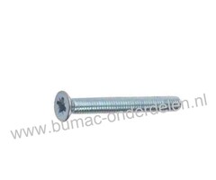 Kruiskopschroef M4 x 25 met Cilindrisch verzonken kop en kruisgleuf, Metrisch, Voldraads, Verzinkt, Din965, Klasse 4.8 M4x0.7x25  Kruisschroef, Metaalschroef