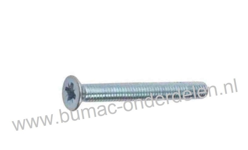 Kruiskopschroef M5 x 80 met Cilindrisch verzonken kop en kruisgleuf, Metrisch, Voldraads, Verzinkt, Din 965, Klasse 4.8, M5x0.8x80 Kruisschroef, Metaalschroef