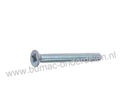 Kruiskopschroef M6 x 10 met Cilindrisch verzonken kop en kruisgleuf, Metrisch, Voldraads, Verzinkt, Din 965, Klasse 4.8, M6x1.0x10 Kruisschroef, Metaalschroef