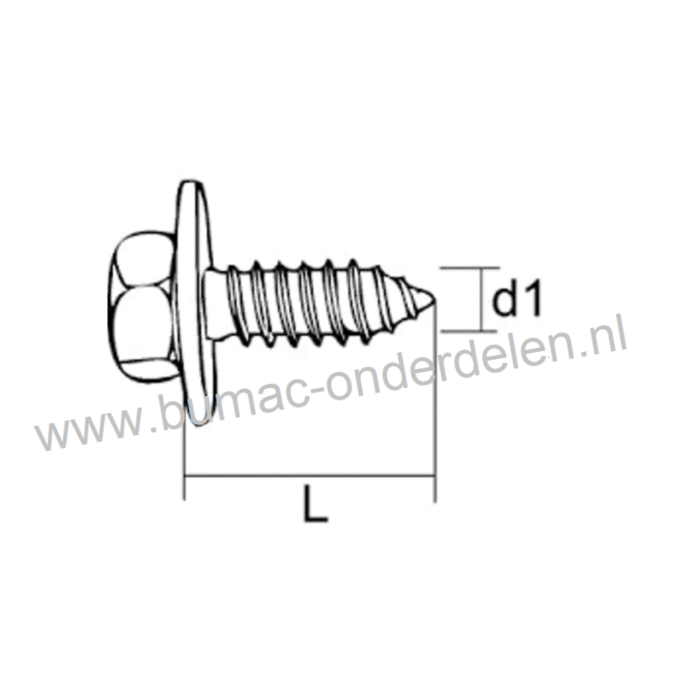Zelftap Plaatschroef 4,8x19 mm met zeskantkop en sluitring, Verzinkt DIN 6901 Sleutelwijdte 8 mm, 4,8 x 19