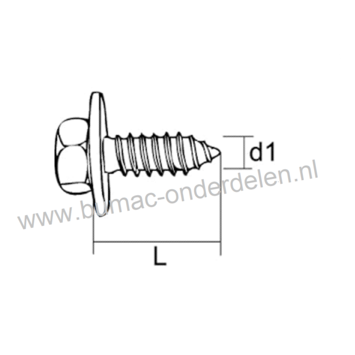 Zelftap Plaatschroef 6,3x13 mm met zeskantkop en sluitring, Verzinkt DIN 6901 Sleutelwijdte 10 mm 6,3 x 13