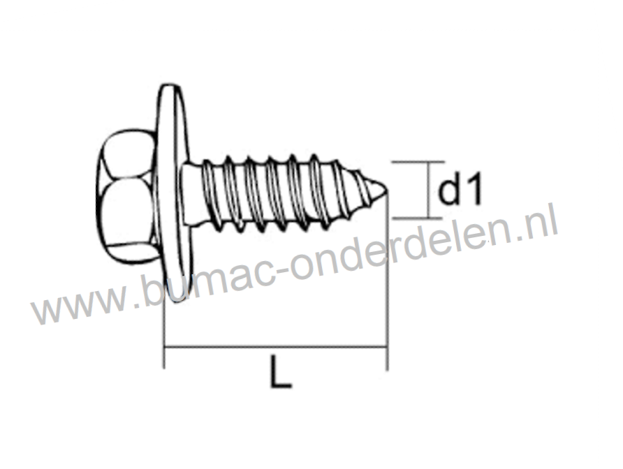 Zelftap Plaatschroef 6,3x38 mm met zeskantkop en sluitring, Verzinkt DIN 6901 Sleutelwijdte 10 mm, 6,3 x 38