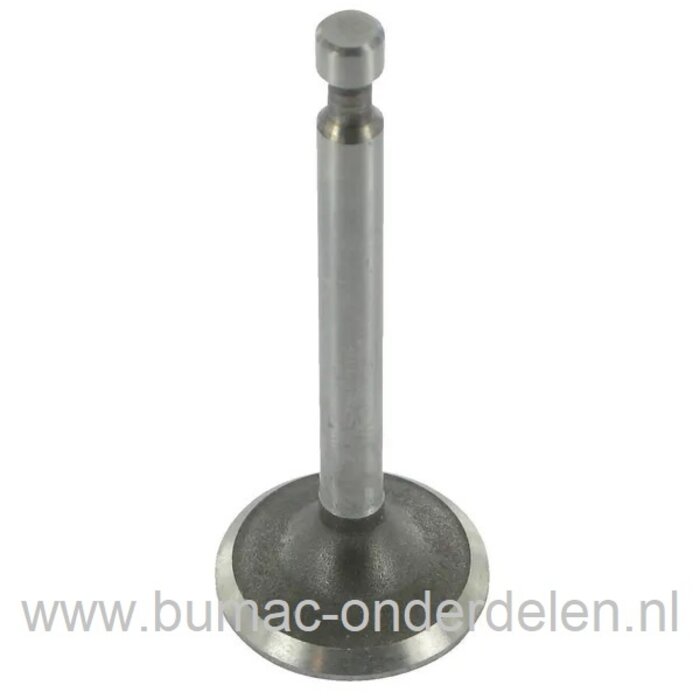 Uitlaatklep voor Honda GC135, GC160, GC190, GCV135, GCV160, GCV190 Motoren op Grasmaaiers, Verticuteermachines, Veegmachines, Benzinemaaiers, Loopmaaiers, HONDA Uitlaatklep GC 135, GC 160, GC 190, GCV 135, GCV 160, GCV 190 Motor met Verticale Krukas