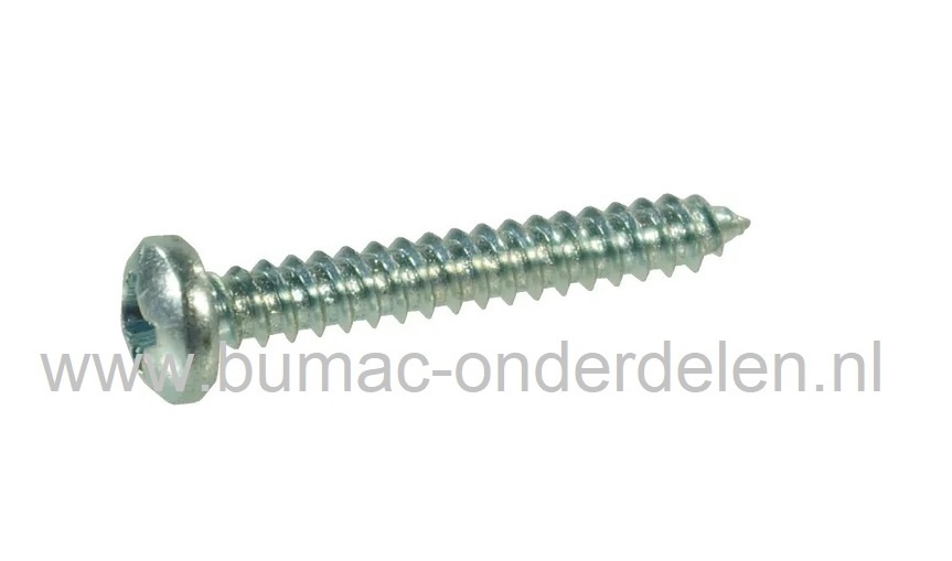 Verzinkte Schroef 3,5x9,5 mm  met Kruiskop, Kruiskop maat 2, DIN 7981C, 3,5 x 9,5 mm  Cilinderkopschroef