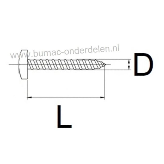 Verzinkte Schroef 5,5x45 mm  met Kruiskop, Kruiskop maat 3, DIN 7981C, 5,5 x 45 mm  Cilinderkopschroef