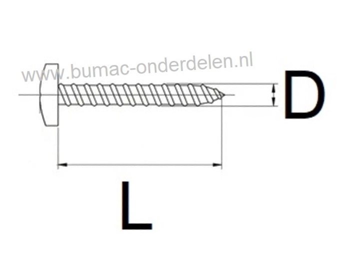 Verzinkte Schroef 5,5x45 mm  met Kruiskop, Kruiskop maat 3, DIN 7981C, 5,5 x 45 mm  Cilinderkopschroef