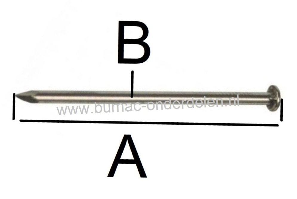 Spijker Ø  2,5 x 60 mm per 0,5 Kg = Circa 215 Stuks, Draadnagel geschikt voor de Meeste Houtsoorten