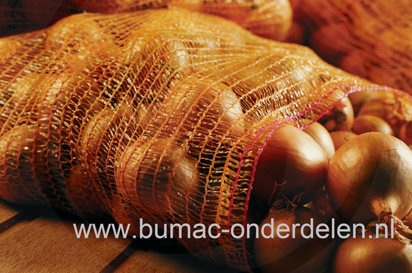 Netzakken,12,5 Kg (40x63 cm) per 10stuks. Professionele kwaliteit,  ideale herbruikbare zakken voor uw gewassen, aardappelen, groenten en fruit krijgen geen drukplekken en kunnen behoedzaam worden bewaard. multifunctionele zak Appels, Peren, Walnoten  Kas