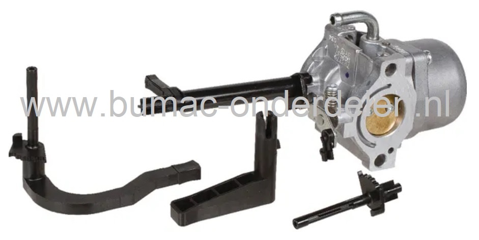 Carburateur voor Briggs & Stratton Motoren met Horizontale Krukas op Waterpomp, Tuinfrees, Trilplaat, Houtversnipperaar, Generator, Aggregaat, B&S Vergasser, Carburator voor Briggs and Stratton