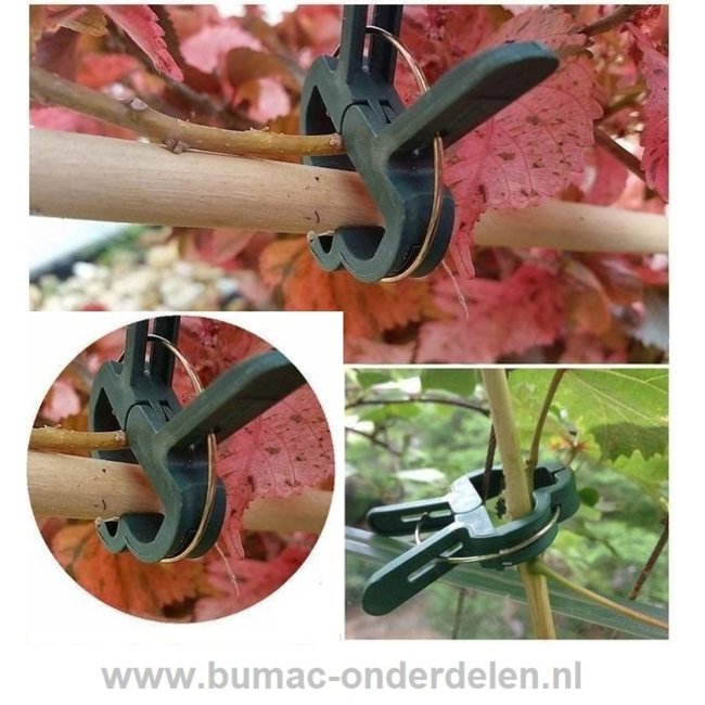 Plantenclip mix-set, 10x plantenclip klein, 10x plantenclip groot. De Plantenclip is een speciaal ontworpen clip wanneer je groenten, bloemen, klimmende en kruipende planten of kleine bomen bij elkaar wilt houden, om te beschermen tegen weersinvloeden, wi