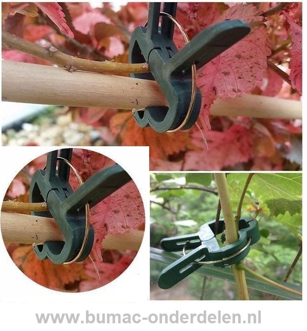 Plantenclip mix-set, 10x plantenclip klein, 10x plantenclip groot. De Plantenclip is een speciaal ontworpen clip wanneer je groenten, bloemen, klimmende en kruipende planten of kleine bomen bij elkaar wilt houden, om te beschermen tegen weersinvloeden, wi