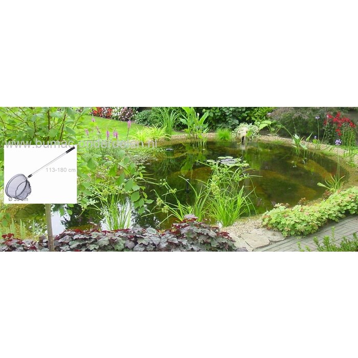 Schepnet, Ø 39cm, 113-180 cm, fijn mazig, met kunststof handvat, gemaakt van aluminium, telescopisch, Net met 3,5 mm maaswijdte.Schepnet vijver.Onderhoud pleegt u eenvoudig en snel met een schepnet voor uw vijver. Schepnet voor de vijver heeft een telesco