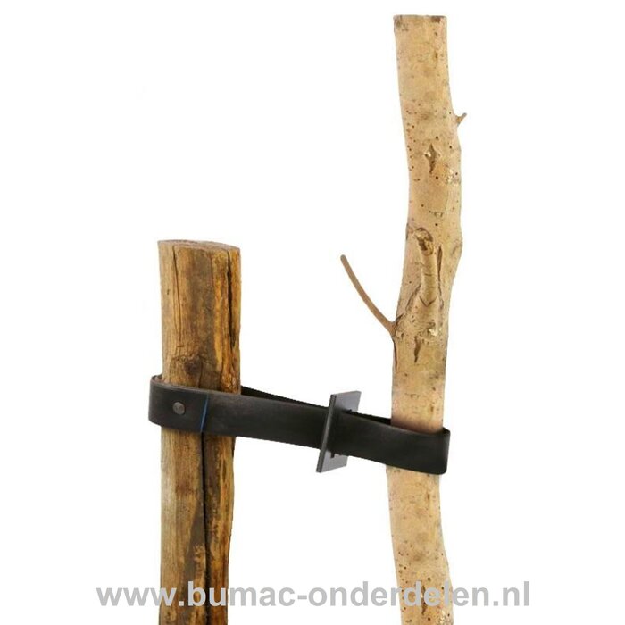Aanschuiflus, boomband gesp, manchet, aanschuifmof ten behoeve van  Rubber Boomband Met de gesp kan de lengte van de boomband worden versteld en kan de boomband meegroeien met de dikte van de boom. Let wel op dat de boombanden niet te statisch worden beve