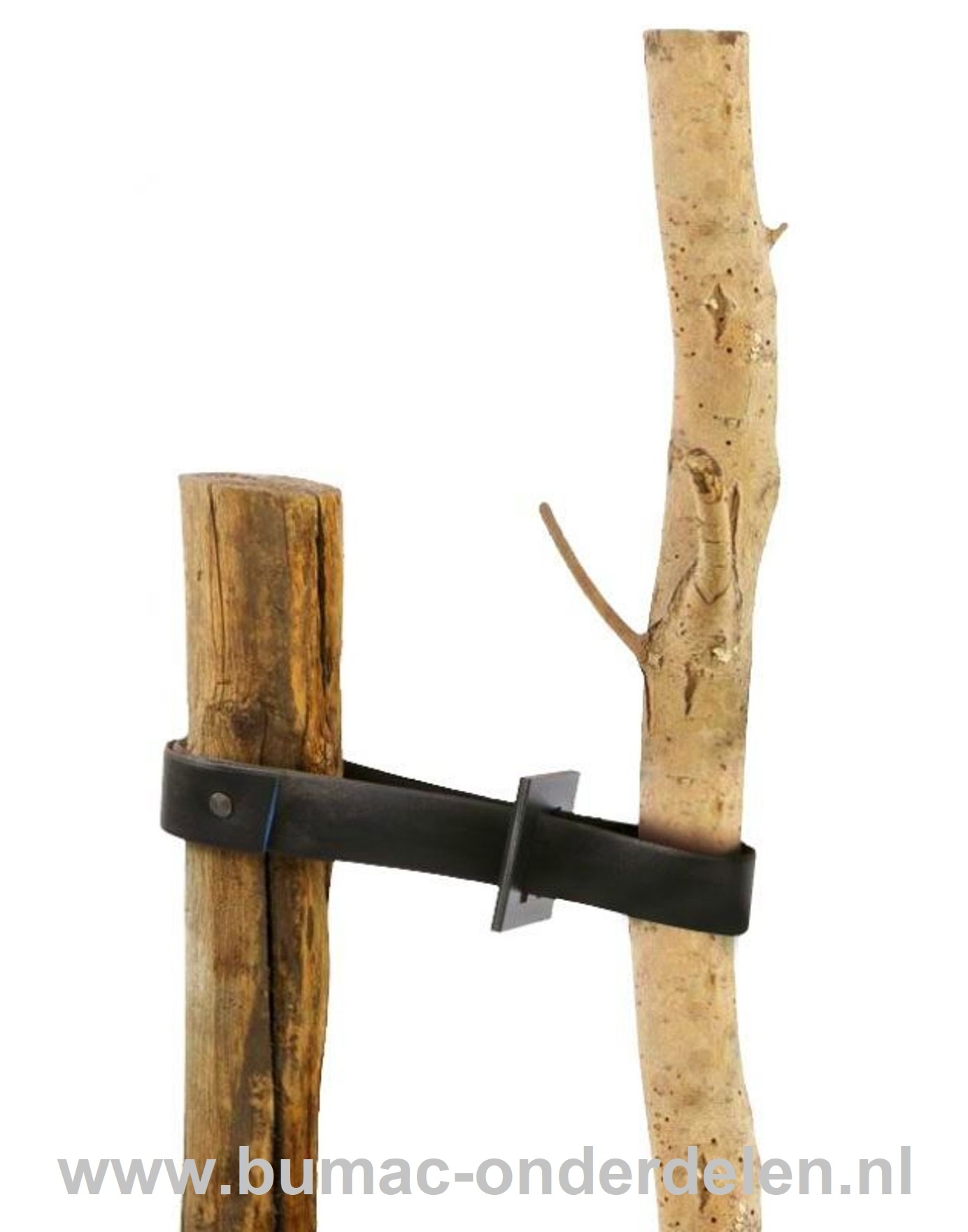 Aanschuiflus, boomband gesp, manchet, aanschuifmof ten behoeve van  Rubber Boomband Met de gesp kan de lengte van de boomband worden versteld en kan de boomband meegroeien met de dikte van de boom. Let wel op dat de boombanden niet te statisch worden beve