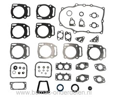 Pakkingset voor B&S Vanguard 2 Cilinder Motor op Generator, Trilplaat, Waterpomp, Aggregaat, Tuintrekker, Veegmachine, Houtversnipperaar, Hakselaar, Hogedrukreiniger Dichting set Briggs and Stratton