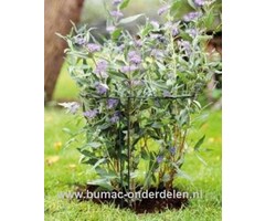 Plantensteun, struiksteun halfrond, 35cm x 40cm Ø 5 mm, groen Halfronde steun voor struiken of vaste planten, Gemaakt van weerbestendig rond staal, Bedekt met groene polyester lak. Ter ondersteuning van vaste planten of struiken.