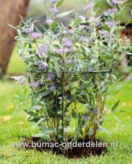 Plantensteun, struiksteun halfrond, 35cmx 40cm Ø 5 mm, groen Halfronde steun voor struiken of vaste planten, Gemaakt van weerbestendig rond staal, Bedekt met groene polyester lak. Ter ondersteuning van vaste planten of struiken.