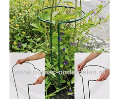 Struiksteun 55 cm, Ø 0,6cm draaddikte,  groen, Ø 20 cm volledig rond, verstelbaar. Struiksteunen, Plantensteun rond, Ronde steun voor struiken of vaste planten, Gemaakt van weerbestendig rond staal, Bedekt met groene polyester lak. Variabel instelbaar, du