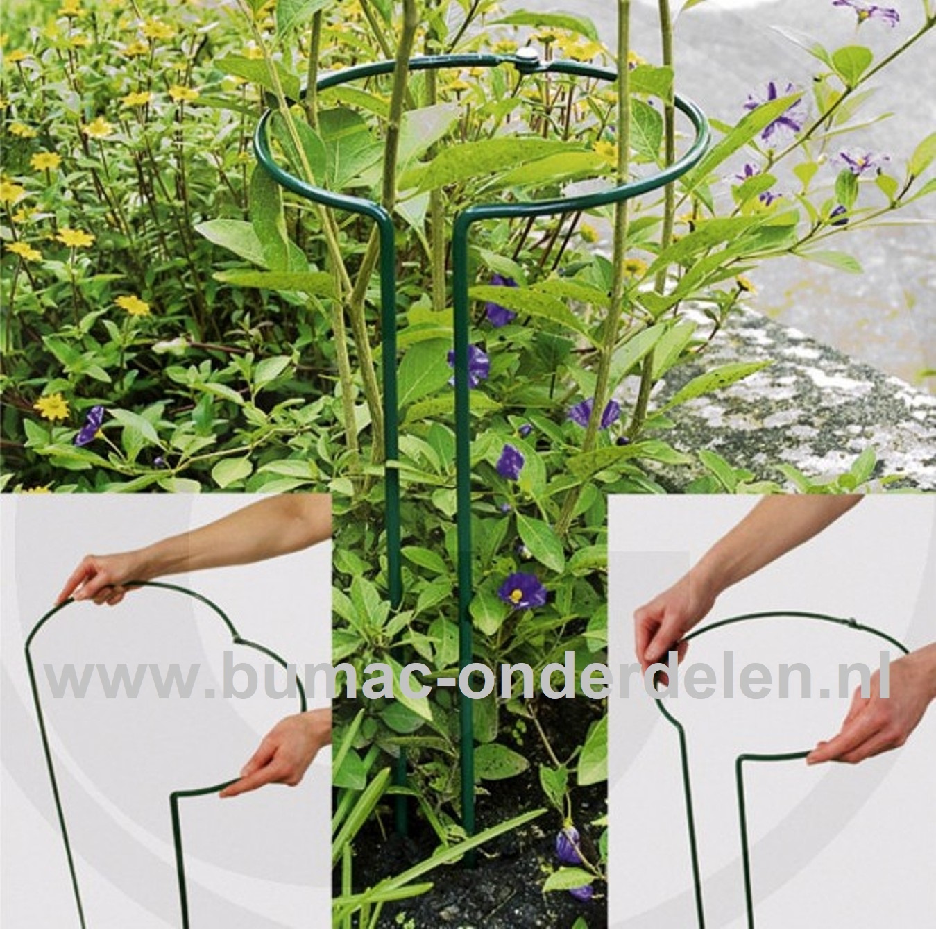 Struiksteun 70 cm, Ø 0,6cm draaddikte,  groen, Ø 30 cm  volledig rond, verstelbaar. Struiksteunen, Plantensteun rond, Ronde steun voor struiken of vaste planten, Gemaakt van weerbestendig rond staal, Bedekt met groene polyester lak. Variabel instelbaar, d