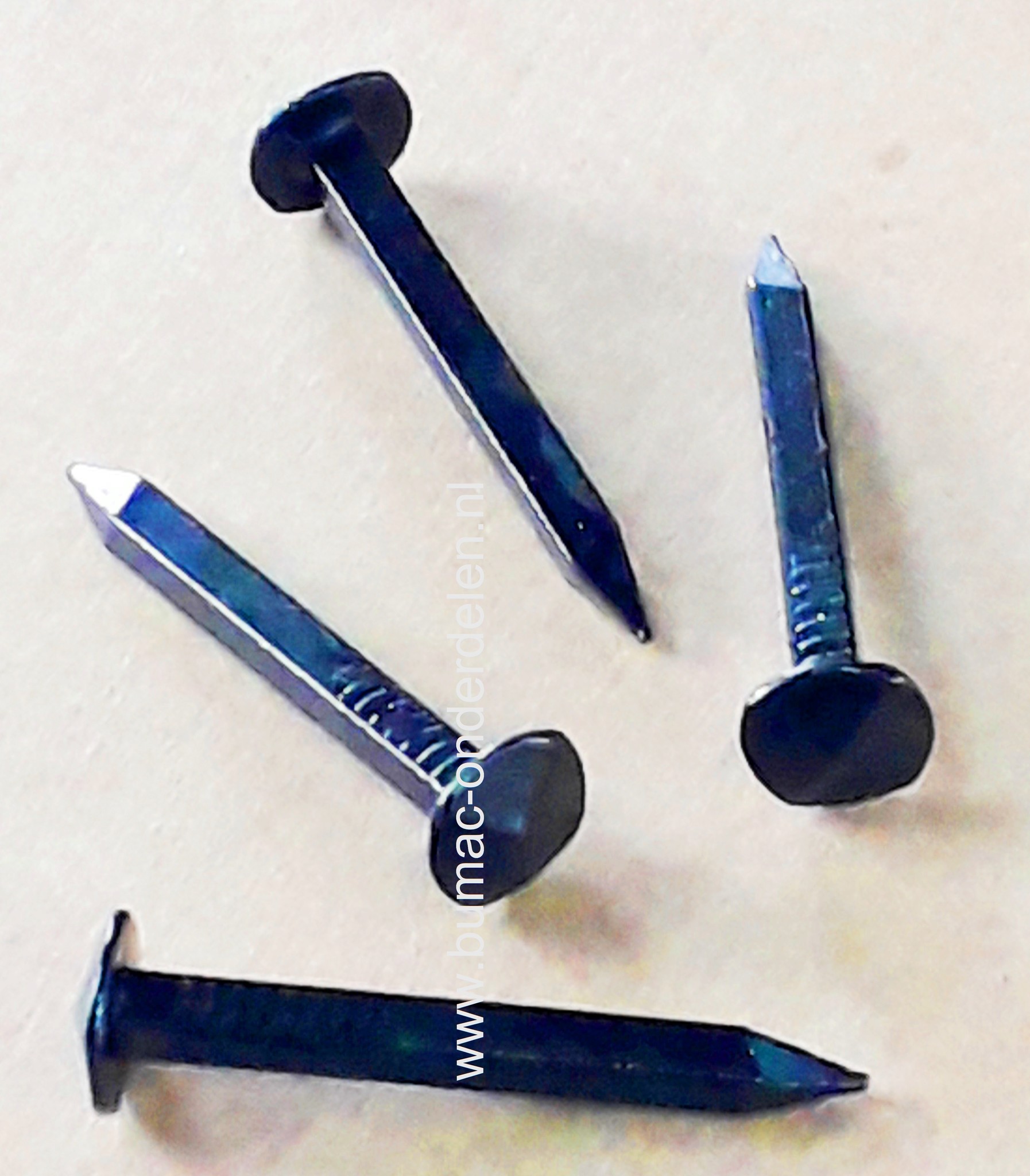 Boomspijker Lengte 4 cm voor het vastmaken  boommanchet aan  boom Vierslag kop Boomnagel