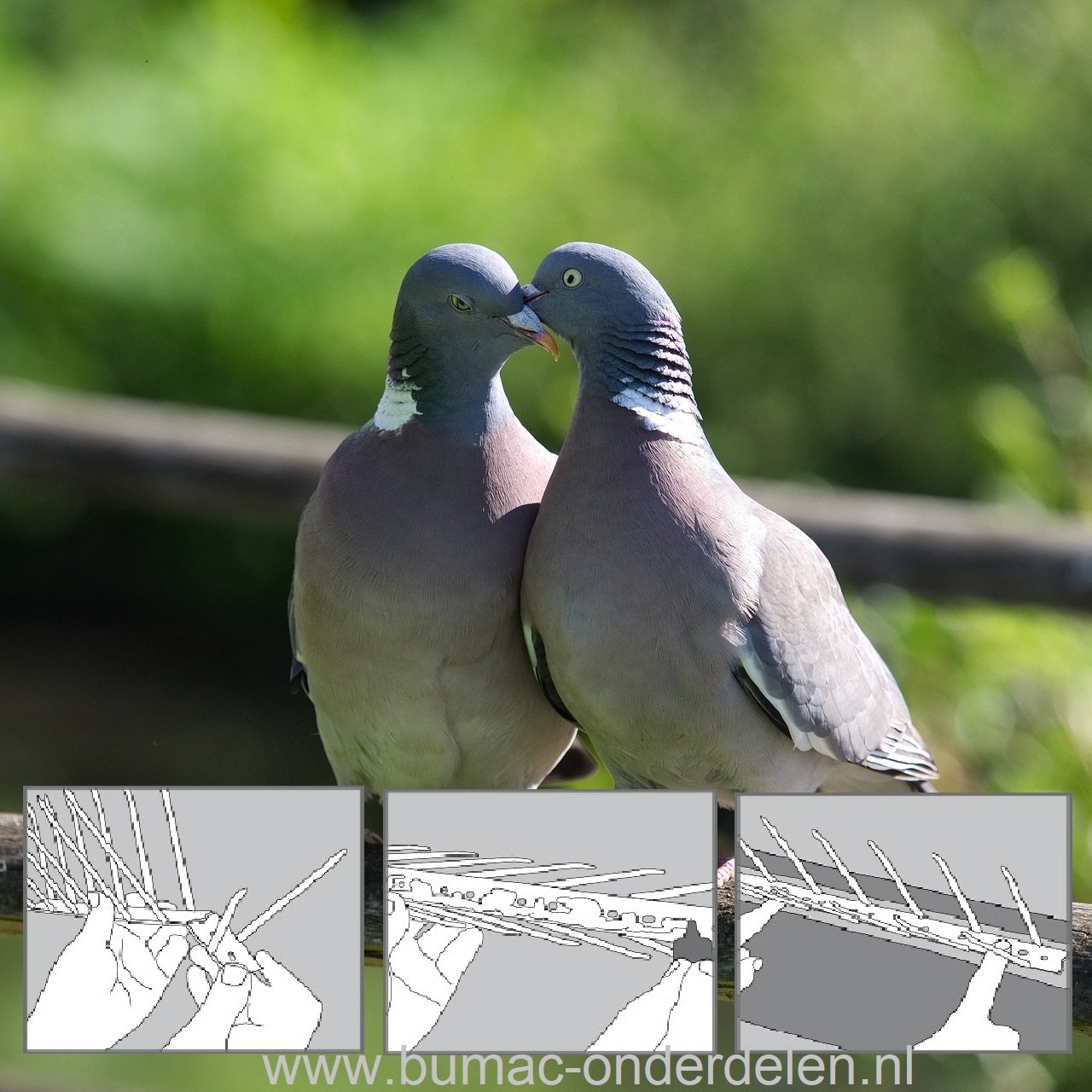 Duivenpinnen 100cm (3x33,3cm) zijn eenvoudig te monteren en klaar voor gebruik om vervelende vogels en duiven weg te jagen. Permanent, Onderhoudsvrij,  UV-en weerbestendig, Onzichtbaar Transparant Onopvallend en Flexibel Eenvoudige montage