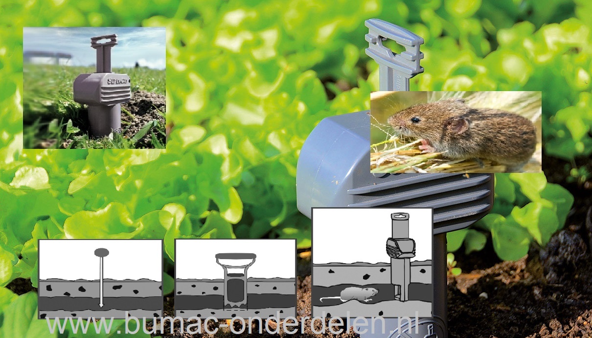 WoelmuisVal Natuurlijk, Efficiënt, Effectief, Veilige en Milieuvriendelijk manier om Woelmuizen te bestrijden.  Snel en eenvoudig te plaatsen Werkt in alle richtingen van een gang Vangst is op afstand zichtbaar Veilig voor kinderen en huisdier, Muizenval